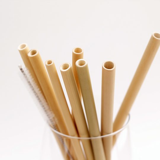 8 Alternatives To Single-Use Plastic Straws - Bamboo Straws 